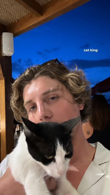 DetectivesBr's tweet image. Lukas Gage Simplismente com seus gatinhos 📲🕵️‍♂️