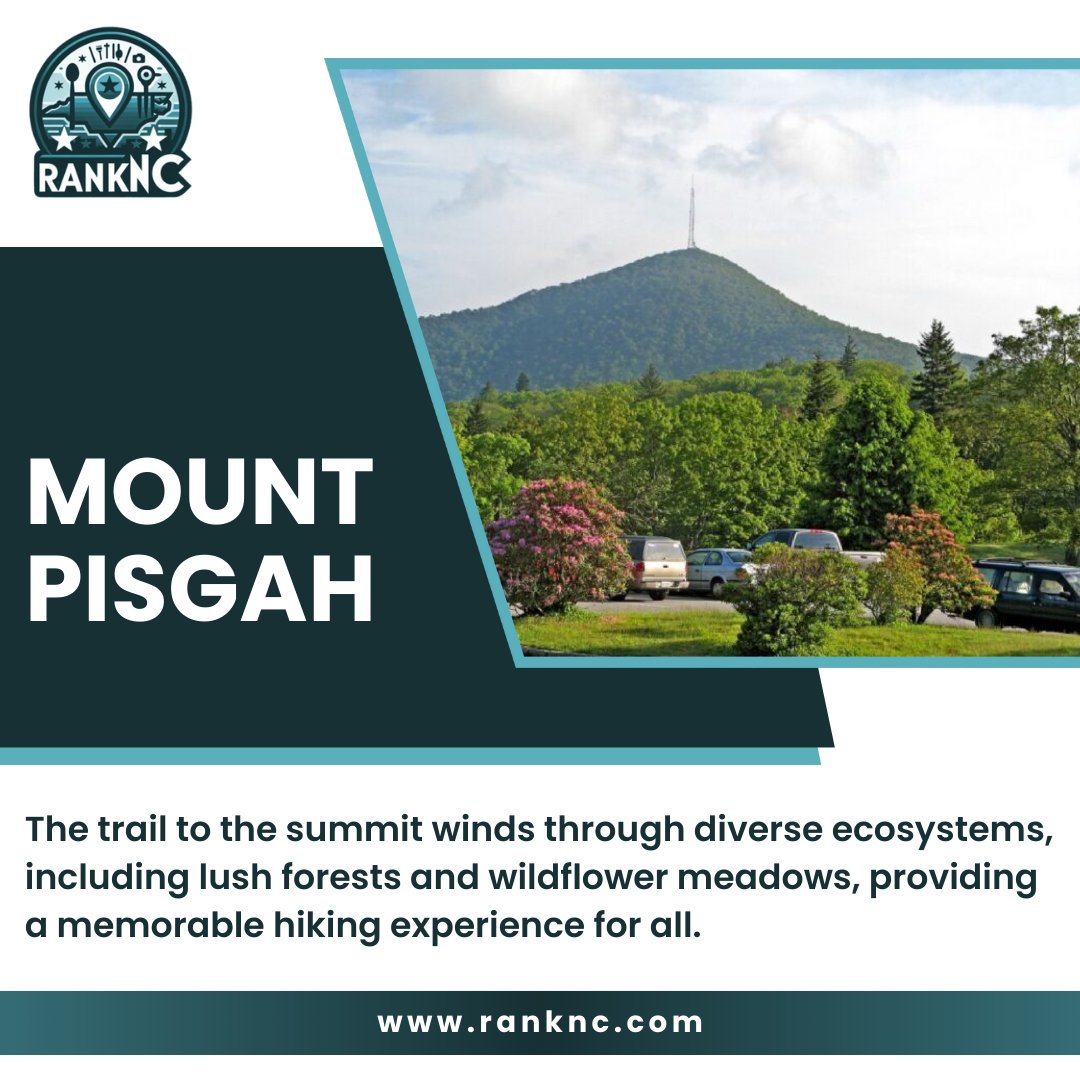 Panoramic Summit Views And Wildflower Meadows!

Mount Pisgah offers panoramic views of the surrounding mountains and valleys, making it a must-visit destination for hikers.

ranknc.com

#RankNC #explorenc #ncadventures #discovercarolina #nchiddengems #nctravels