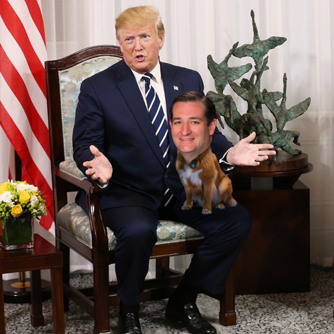 fire_ted_cruz's tweet photo. Happy #PetAppreciationWeek from FTC and Trump's loyal lapdog! https://t.co/uDgXOy7qjS