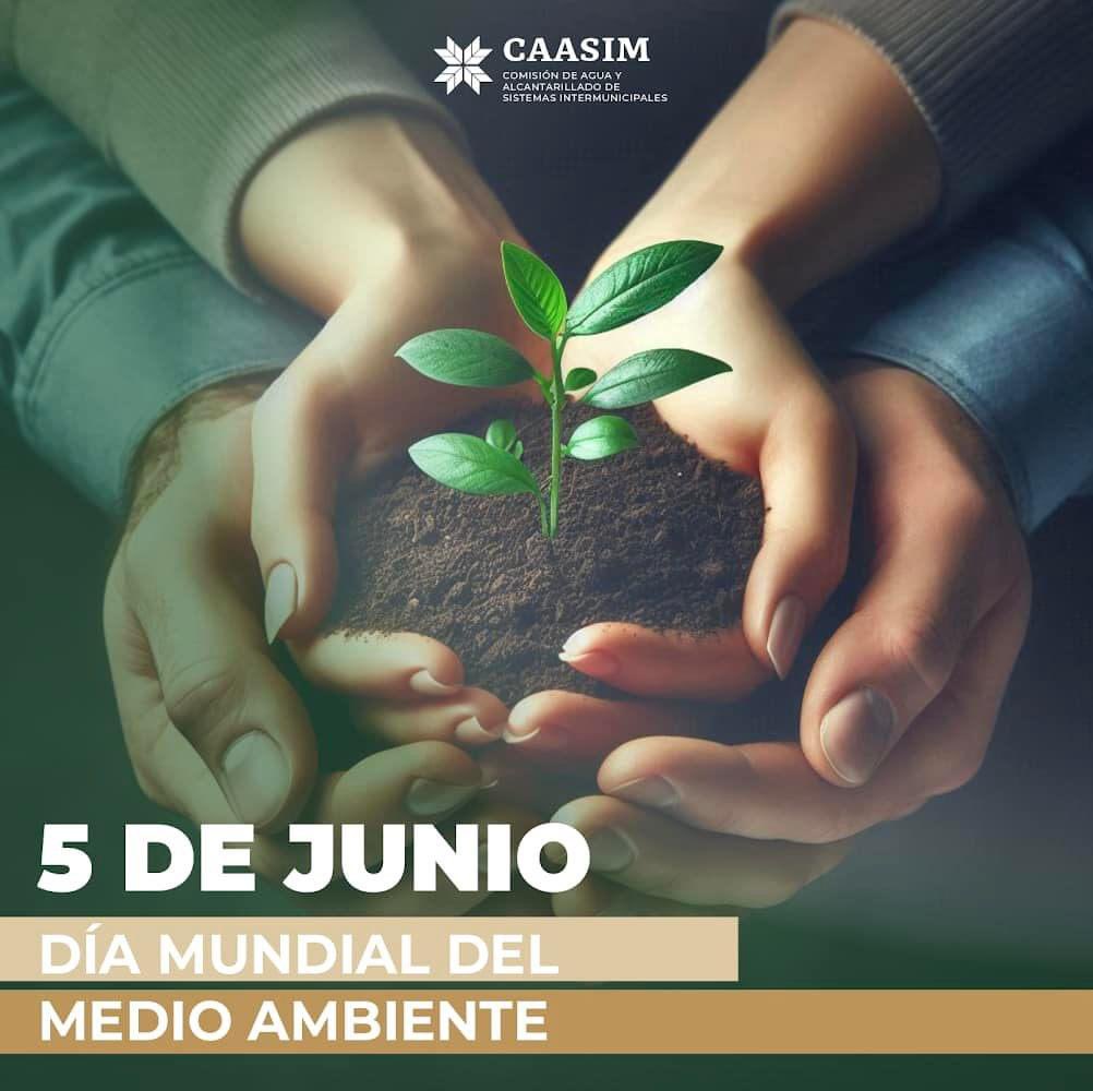 AucesMarco's tweet photo. https://t.co/XjP7P2kghb
