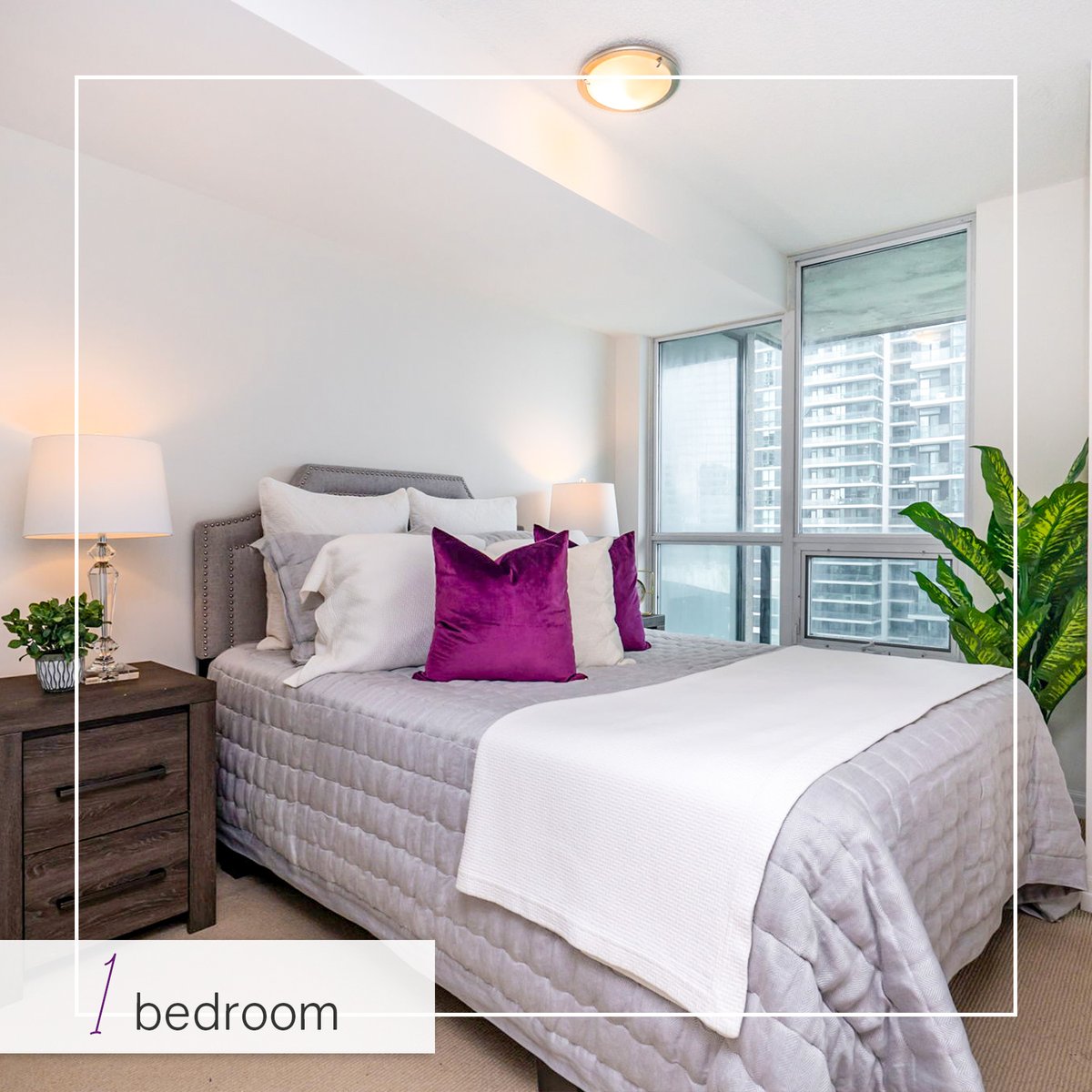 Davelle Morrison tweet media