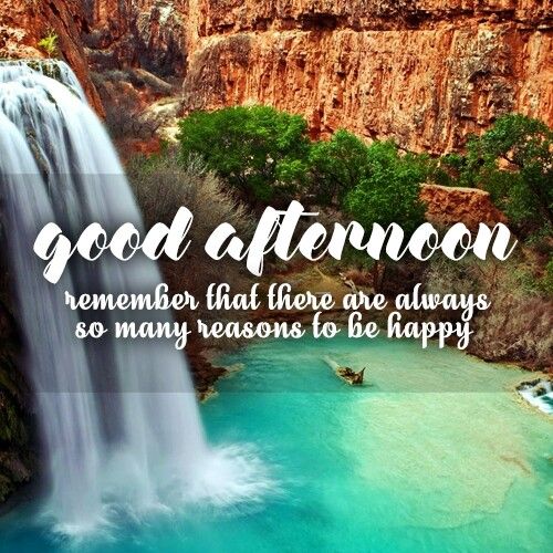 Good Afternoon X family 🤎
.
he day is more than half over; now is the time to make the most of it.🌺🌺🌺