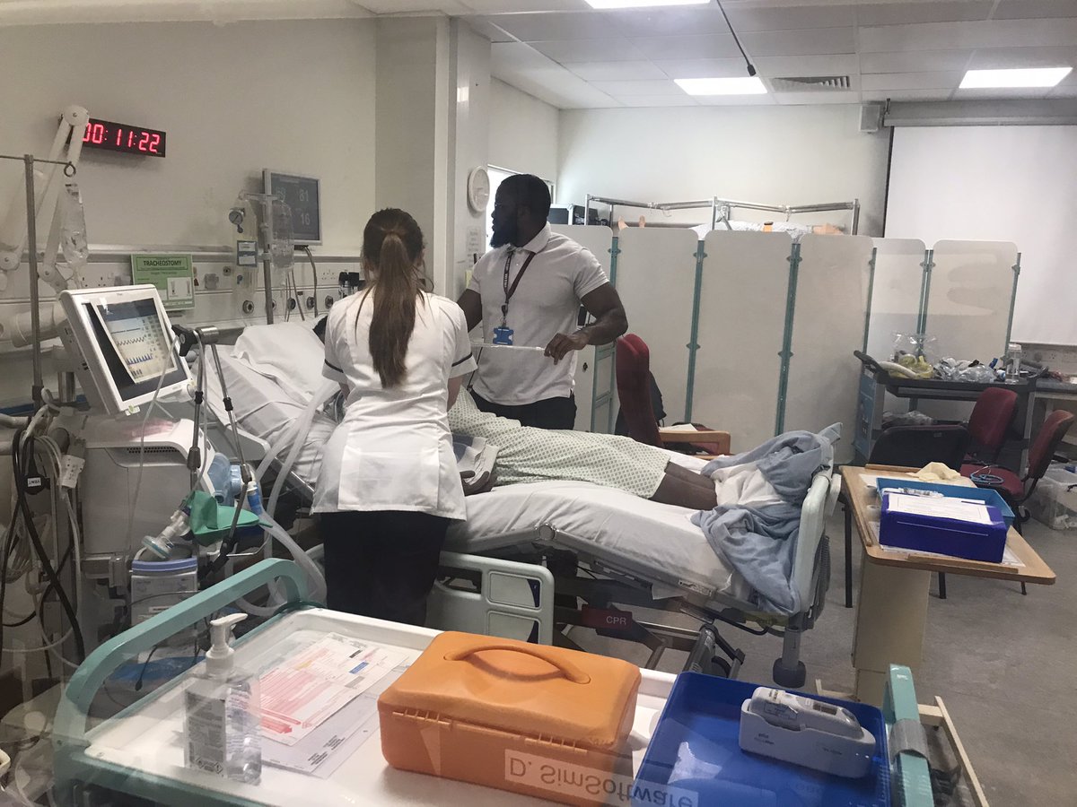 Chelsey Tyler tweet media