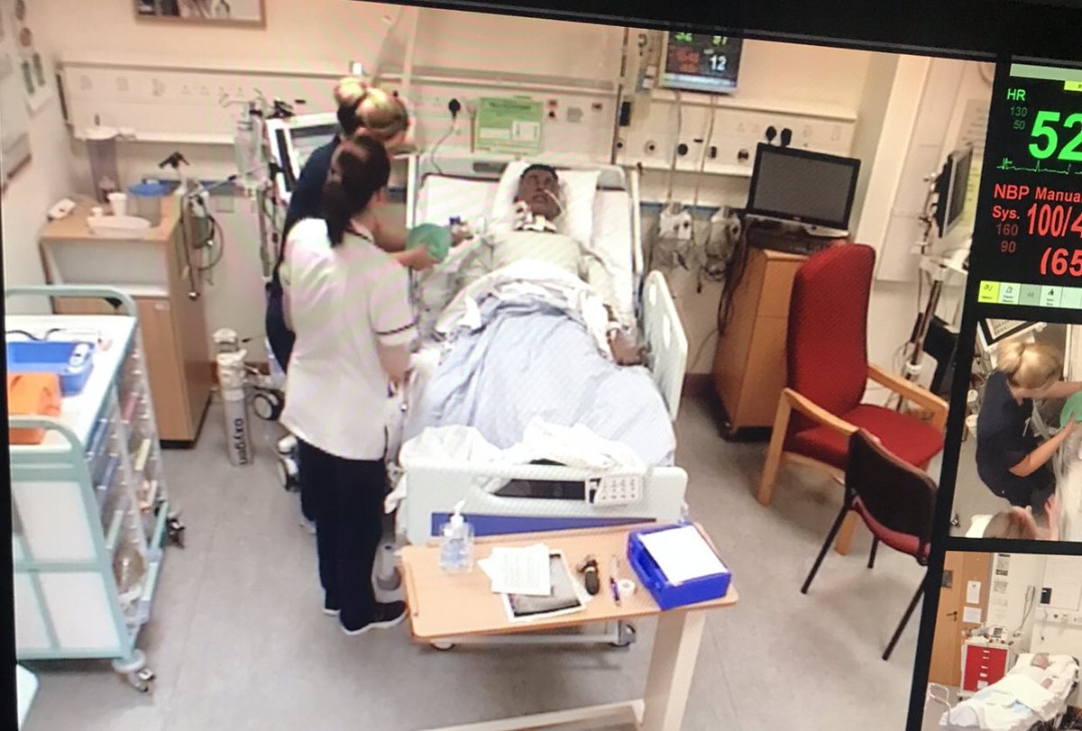 Chelsey Tyler tweet media