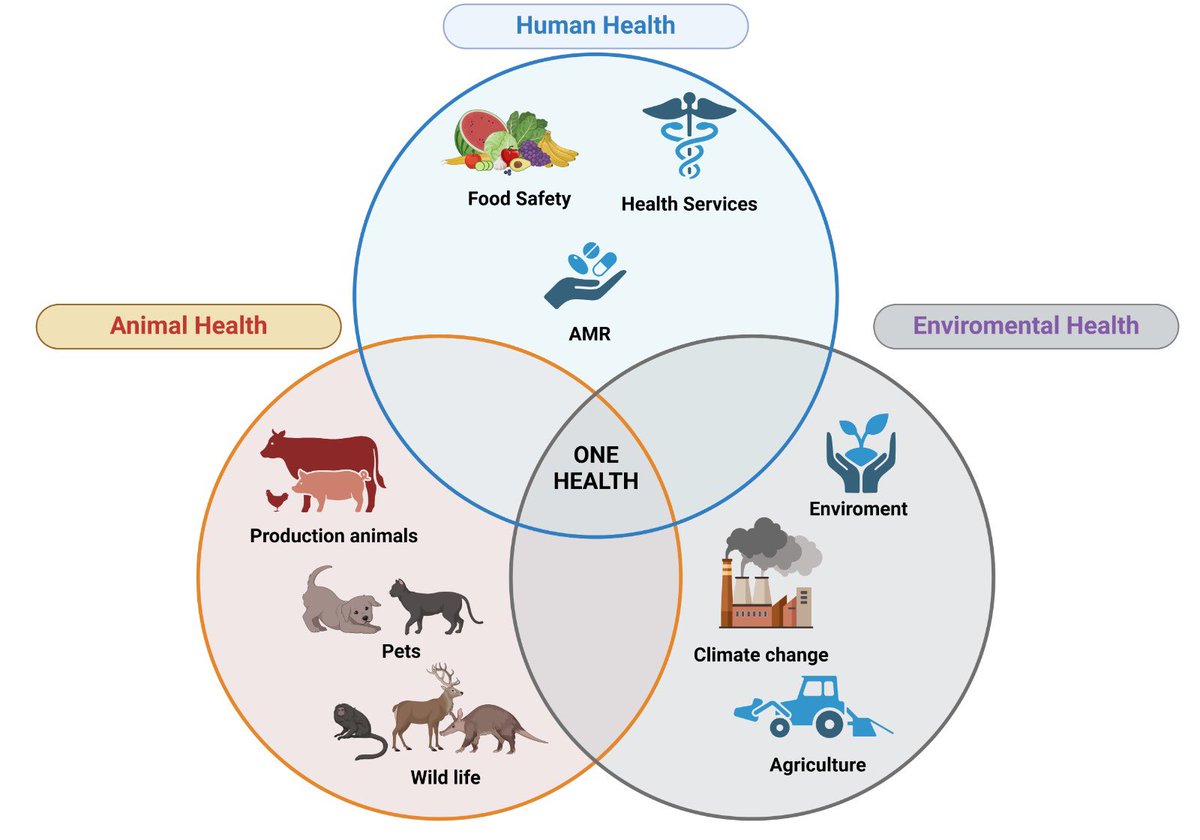 One health, la salud de todo y de todos