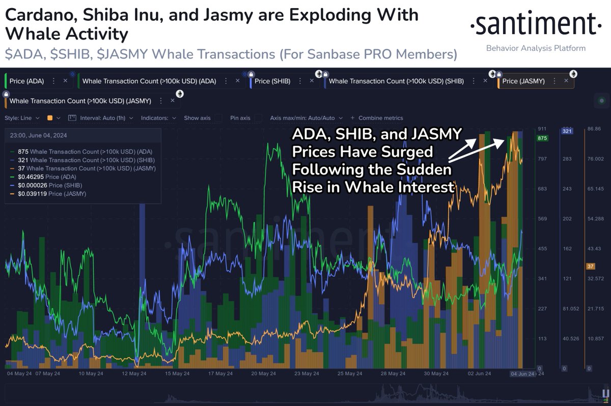 📈 #Cardano, #ShibaInu, and #Jasmy are all enjoying surges, each appearing  to be triggered after a spike in whale interest. The amount of $100K+  transactions on each of these networks have all
