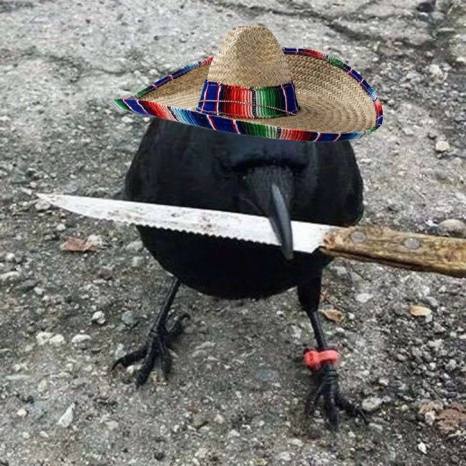 TEK_RISING's tweet photo. @Johyo_cro @333blacksea @TectonicFi Crow with knife https://t.co/kX8gCswo4F
