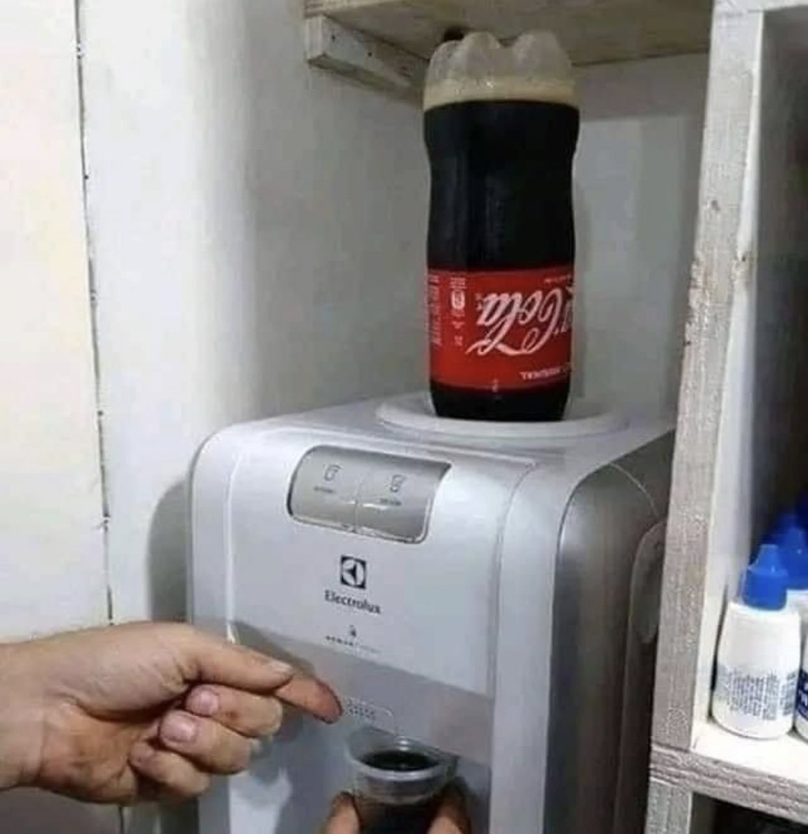 yo cuando viva solo: