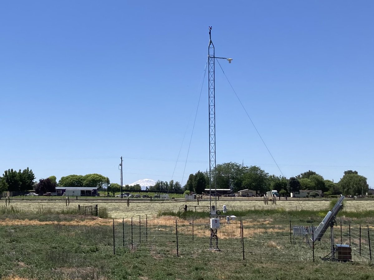 Washington Mesonet (@wamesonet) on Twitter photo We have successfully re-established the Sunnyside #mesonet site today after having to remove it a few weeks ago. #Phew! #wawx #MtAdams <a href="/AgWeatherNet/">AgWeatherNet</a> <a href="/NWSPendleton/">NWS Pendleton</a> <a href="/wsucahnrs/">WSU CAHNRS</a> We have successfully re-established the Sunnyside #mesonet site today after having to remove it a few weeks ago. #Phew! #wawx #MtAdams <a href="/AgWeatherNet/">AgWeatherNet</a> <a href="/NWSPendleton/">NWS Pendleton</a> <a href="/wsucahnrs/">WSU CAHNRS</a>