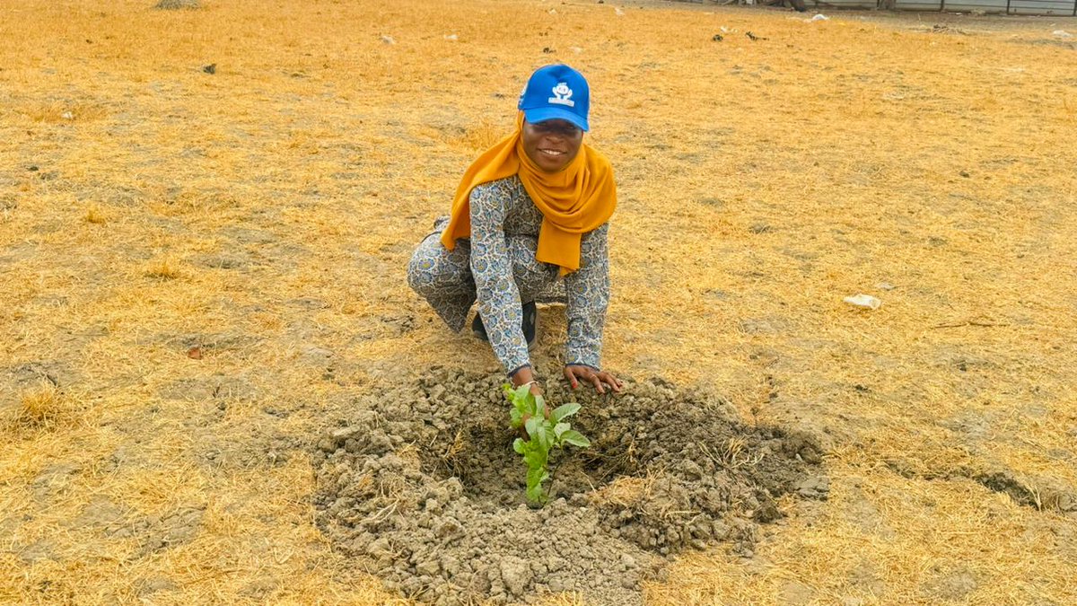 unwomenssudan's tweet photo. I am Maryam Jaji, Programme Officer, Women Peace &amp; Security/ Political Participation, UN Women South Sudan.

I pledge to join the movement to restore our planet!

Our Land Our Future

We are #GenerationRestoration.

#WorldEnvironmentDay https://t.co/iMpffv6fC6