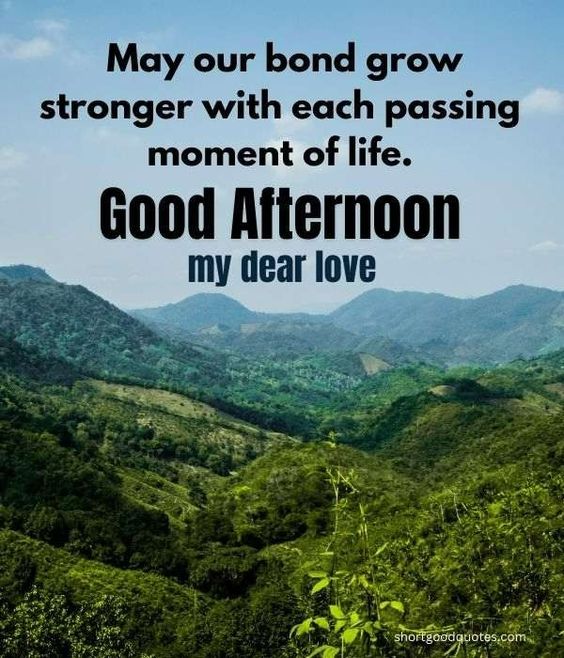 AssalamOalaikum🙂
Good Afternoon X family 💜
.
.
Let the beauty of the afternoon fill your heart with peace and contentment.