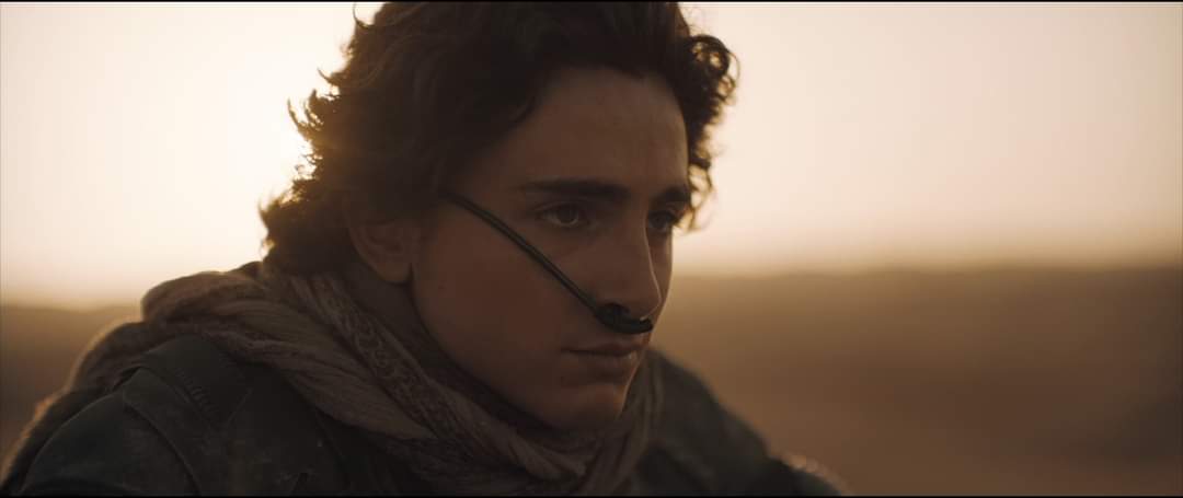 LooSamy's tweet photo. Avatar 😍
Dune 😍 https://t.co/J4xzCpZQ6x