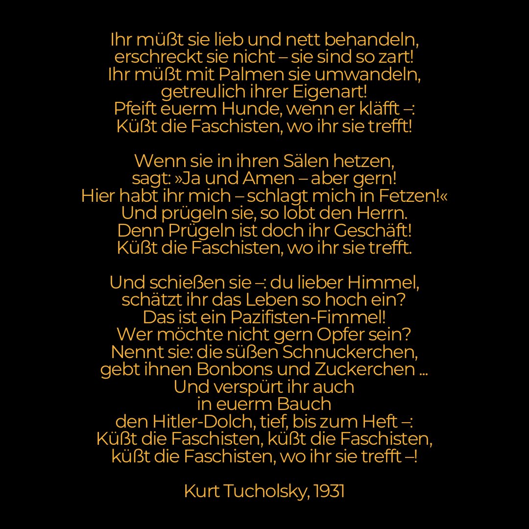 Coram_Bell's tweet photo. @Gude__Wie @martingommel 🌹 https://t.co/0aACTaFe2n
