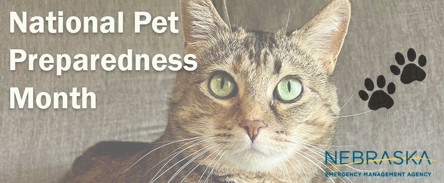 NEMAtweets's tweet photo. If you ever have to evacuate, get your pet familiar with their carrier before severe weather hits. Don't leave your pets behind. #PetPreparedness

🔗https://t.co/FqsDv9GqKA https://t.co/fSkCsGEqPV