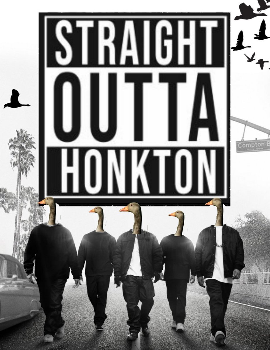 Squad is looking good.

Wanna join the $HONK squad? It's easy, just HONKKKKKK!!!