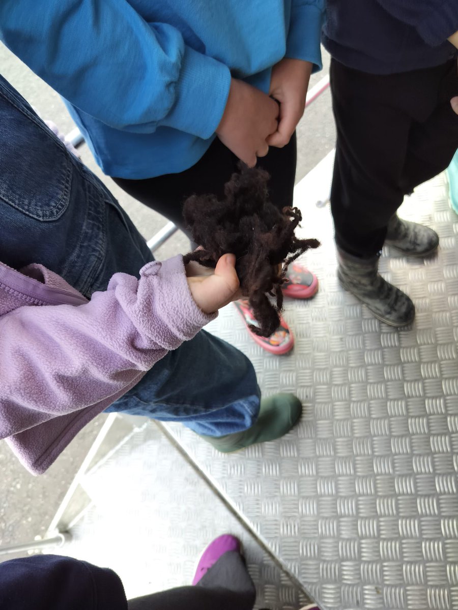 TurriffPrimary's tweet photo. P3A and P3B were lucky to have a visit from the @RNCI1 on wheels today. They met Alison who told them about what we are luckily able to produce in the NE of Scotland. The classes were delighted to meet Daisy a calf who was only a week old! 
#farm #ccow #learning #inourarea https://t.co/W7D5VejjpN