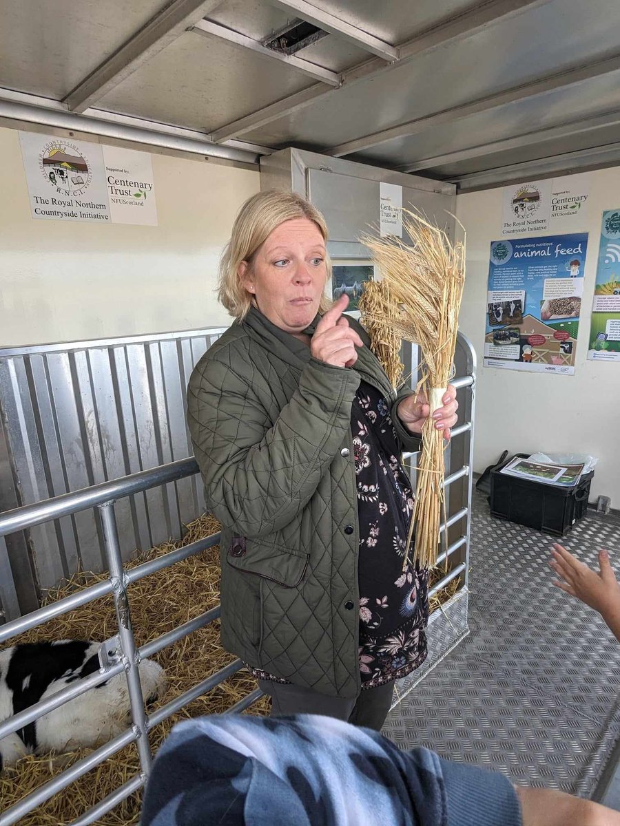 TurriffPrimary's tweet photo. P3A and P3B were lucky to have a visit from the @RNCI1 on wheels today. They met Alison who told them about what we are luckily able to produce in the NE of Scotland. The classes were delighted to meet Daisy a calf who was only a week old! 
#farm #ccow #learning #inourarea https://t.co/W7D5VejjpN