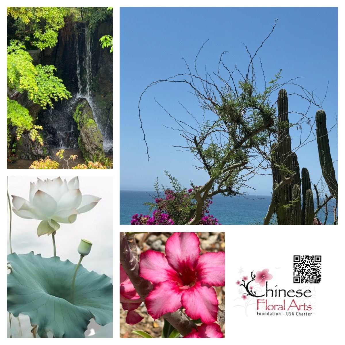ChineseFloral's tweet photo. #chinesefloralarts #cfafusacharter #handsonculture #beascholarforaday https://t.co/n36cHBJMMx