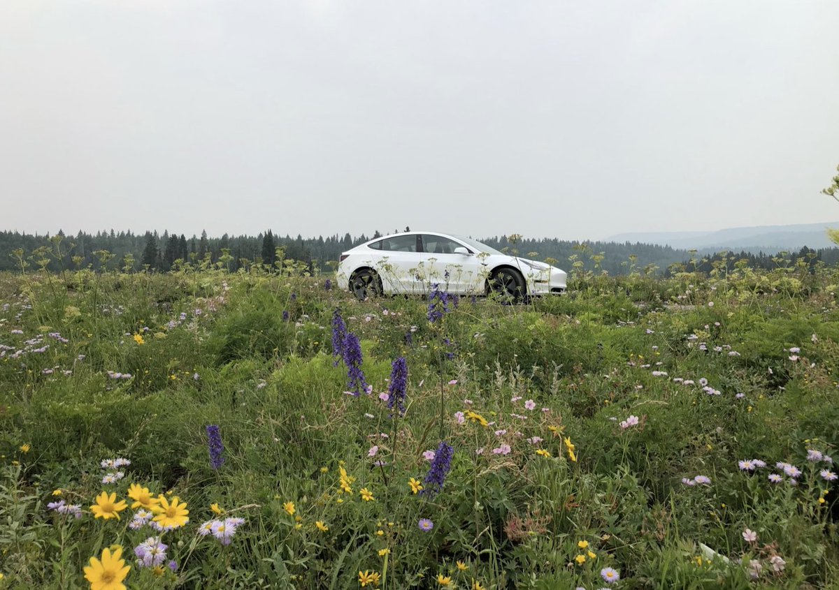 Drive Electric Colorado tweet media