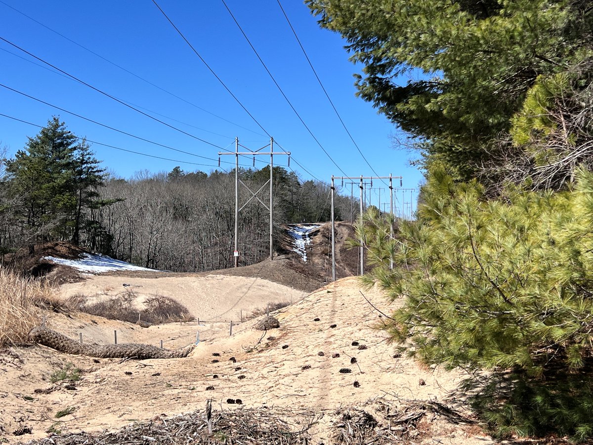 Avangrid champions environmental stewardship on #WorldEnvironmentDay, 🌎☀️🌊 recognizing efforts from its Networks and Renewables businesses to preserve and protect the environment. More: ow.ly/M0MQ50Sa366

#GenerationRestoration