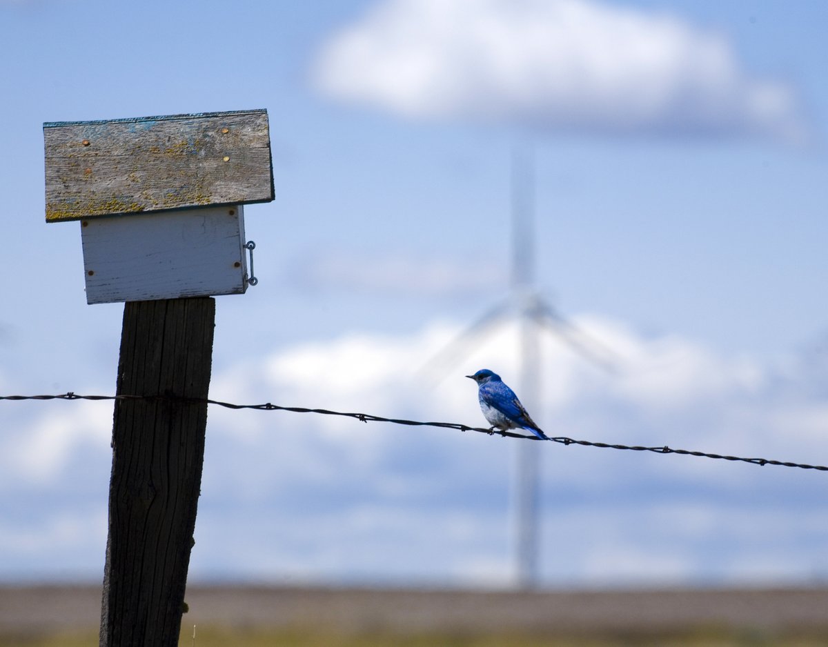 Avangrid's tweet photo. Avangrid champions environmental stewardship on #WorldEnvironmentDay, 🌎☀️🌊 recognizing efforts from its Networks and Renewables businesses to preserve and protect the environment. More: https://t.co/vimfCUpSUG

#GenerationRestoration https://t.co/lS0Lcb8i0Q
