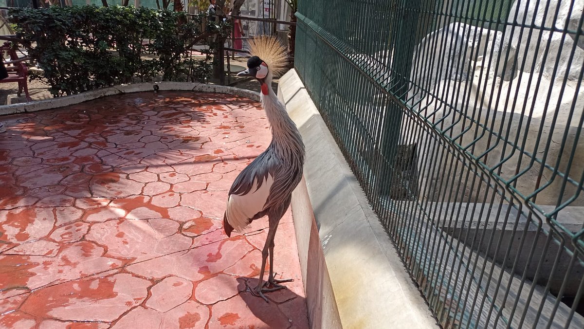 Ecatepec tweet media