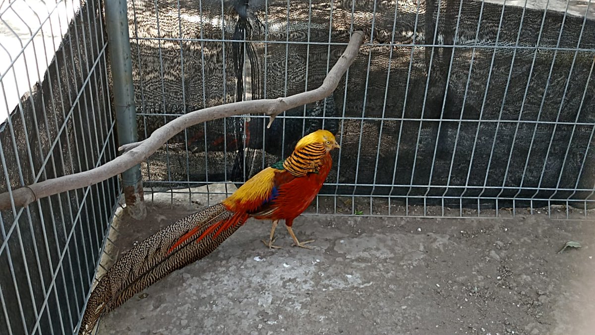 Ecatepec tweet media