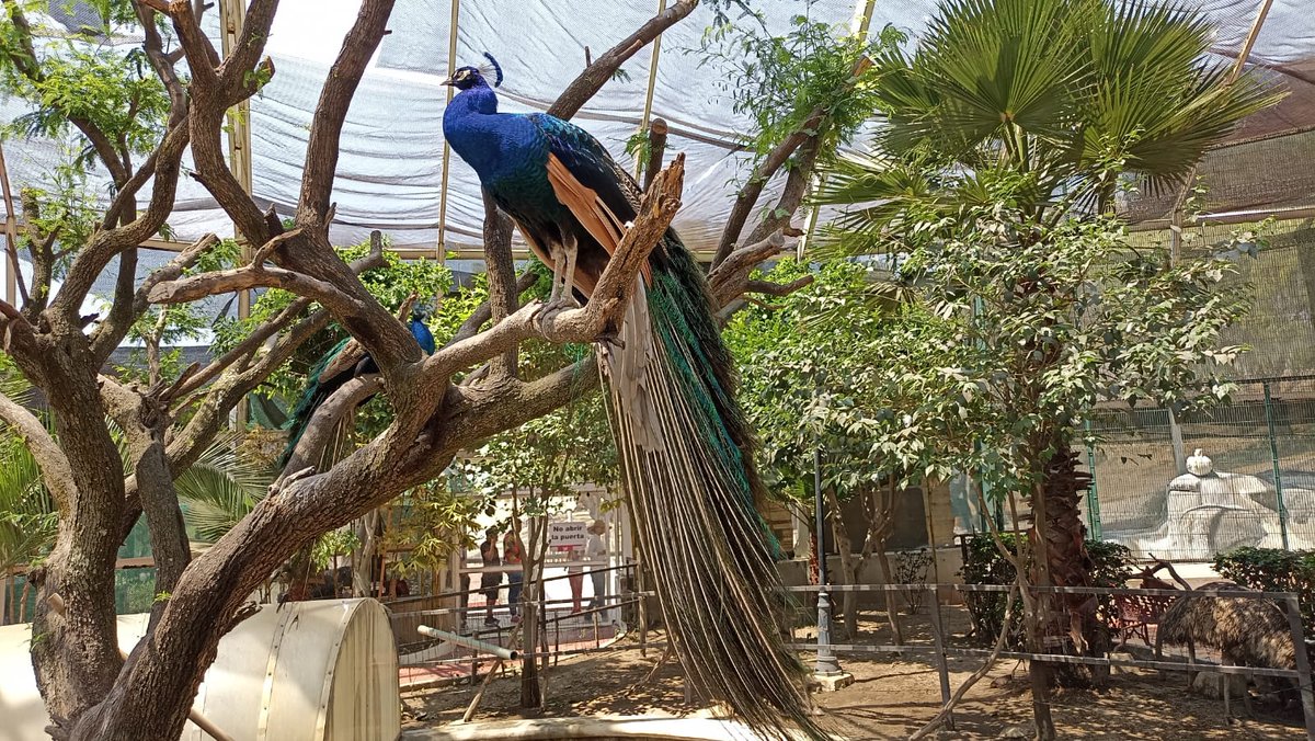 Ecatepec tweet media