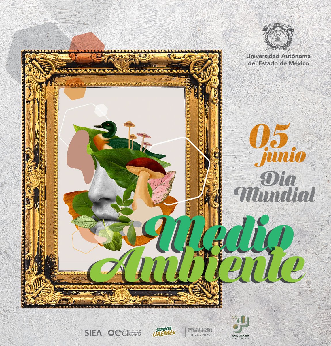 OCA_UAEM's tweet photo. #SomosUAEMéx💚📷 #SomosAccesoAbierto invitamos a consultar producción sobre #CienciasDeLaTierra #CienciasAgrícolas #PlaneaciónUrbana en el @RIUAEM_MX
contamos con +2,000 documentos en acceso abierto entra a: https://t.co/osGUhLuwXA https://t.co/ULMGqNG56X https://t.co/b6y65HKv5e https://t.co/gm3cvRD9SN