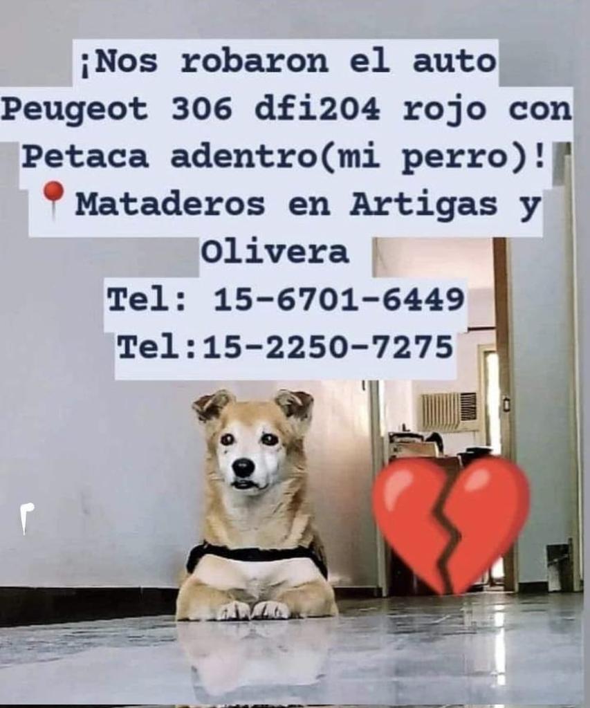 patripeyrou's tweet photo. Difundimos https://t.co/yERpOWxWkK