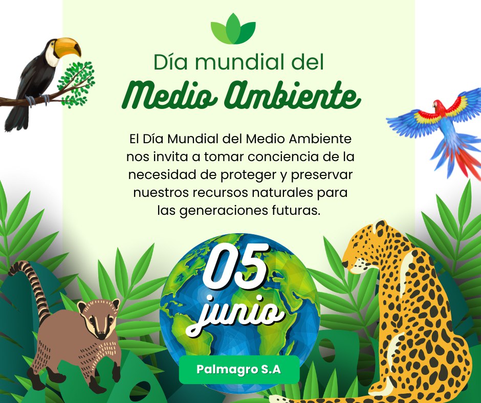 Palmagro_SA's tweet photo. 💚 https://t.co/fAlsCqsnrR