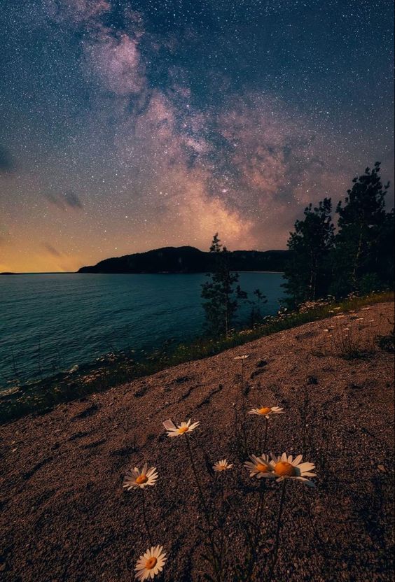 Good night everyone 🌙
Shab bakhair 
Have a peaceful and pleasant night X family . . . 
Stay Happy and be blessed 🫶🏻😇❤️
