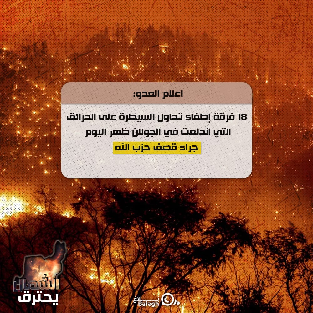 Fatimaajfr's tweet photo. #الشمال_يحترق https://t.co/uTn9LaWCap