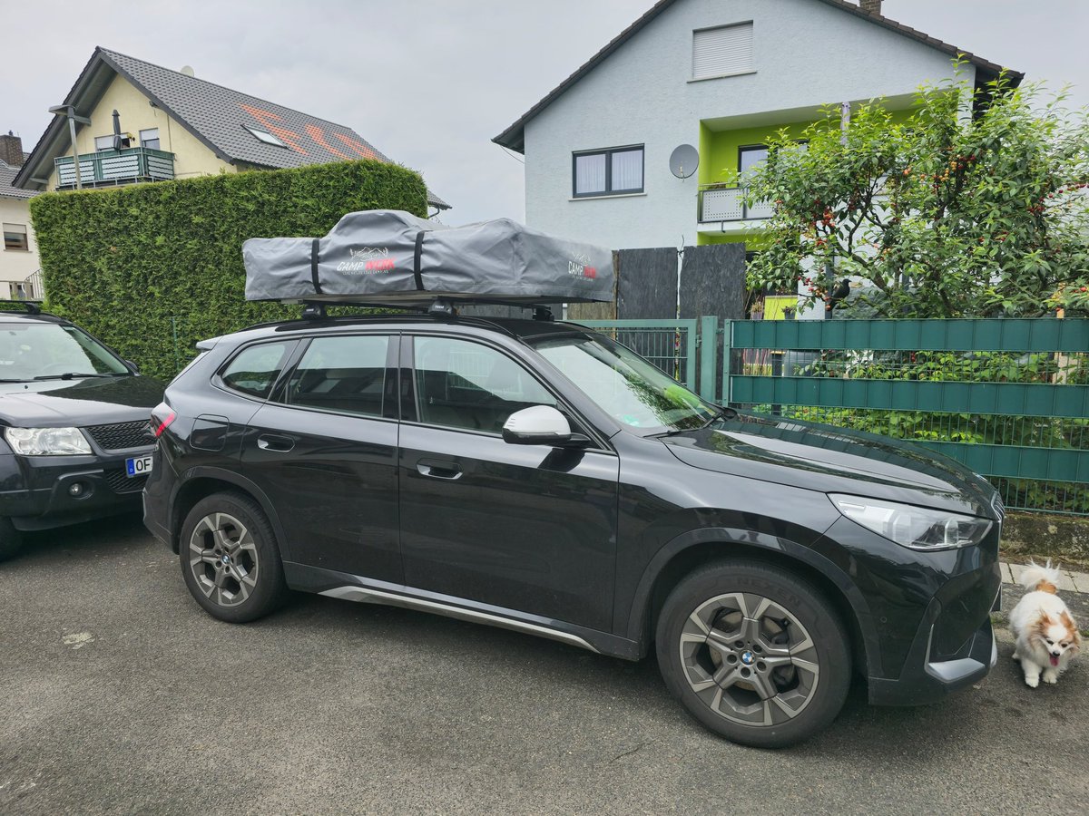 Luisa ✨ tweet media