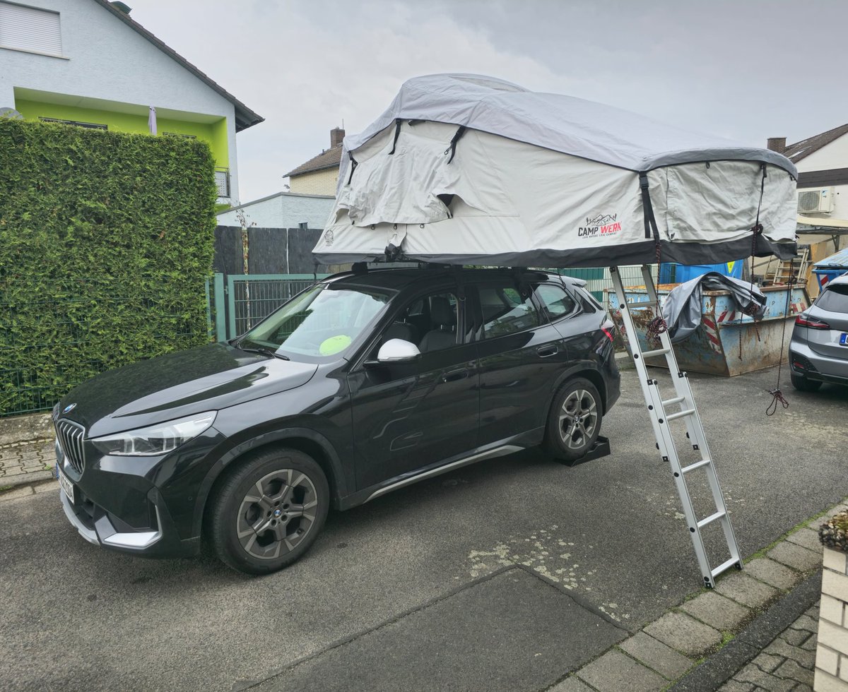 Luisa ✨ tweet media