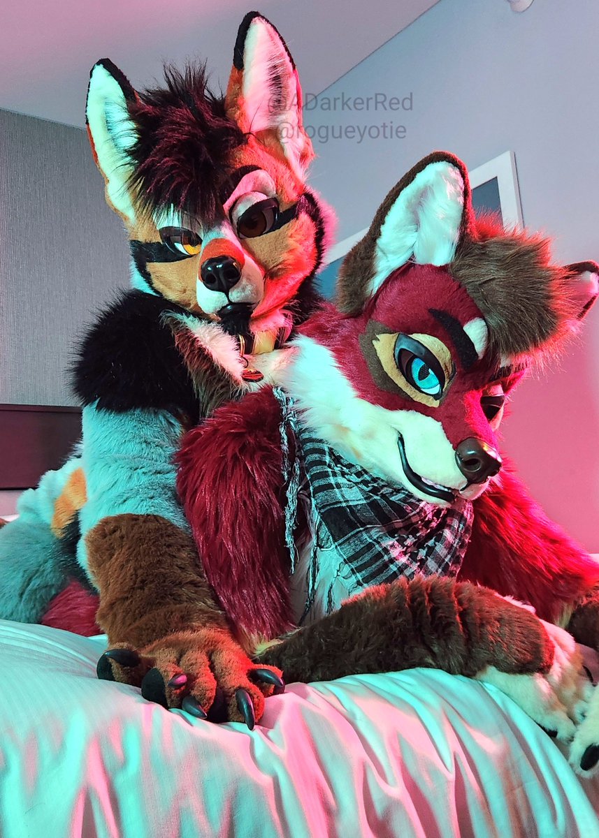 When they both give you that look 😈 
🐶: <a href="/ADarkerRed/">Auburn</a>