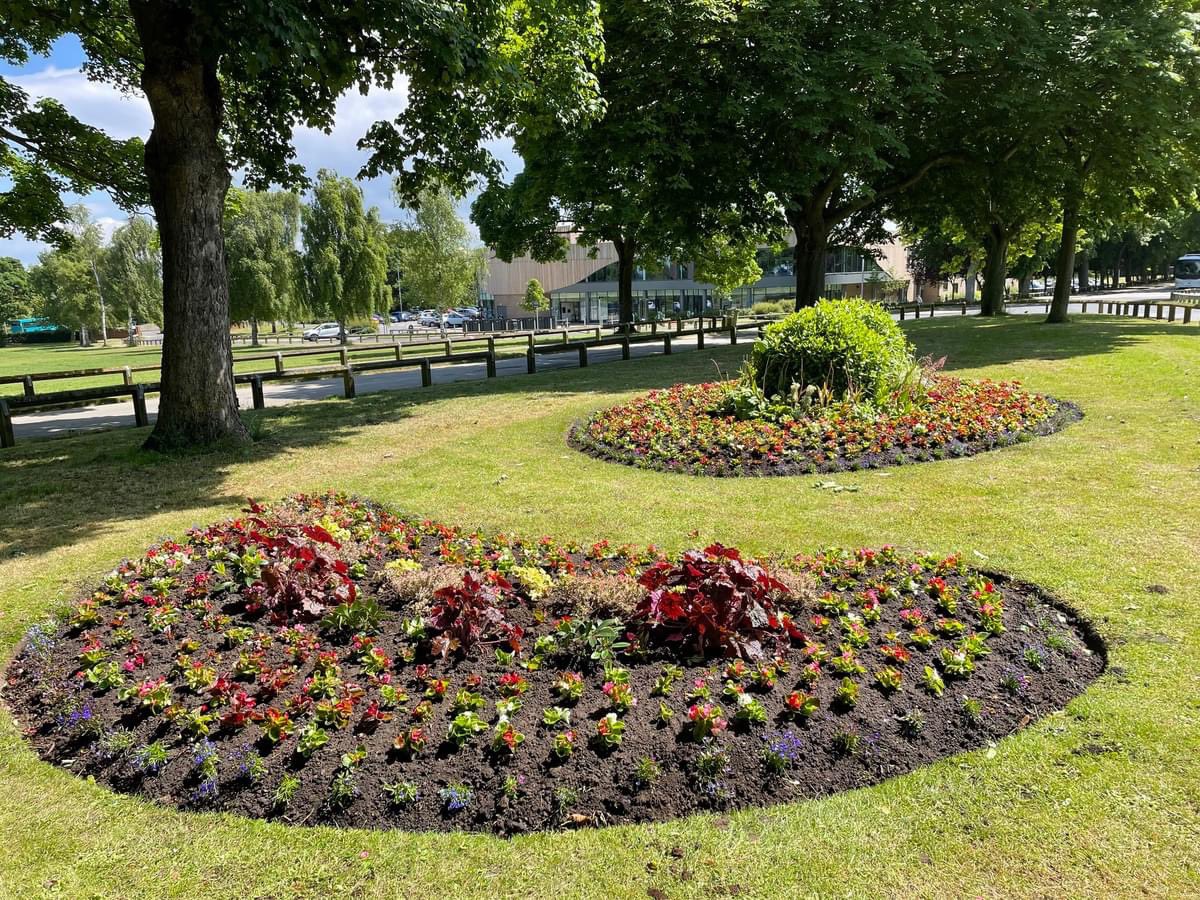 pontinbloom 🌲 (@pontefractinbl1) on Twitter photo And the beds are planted up! #begonias and #lobelia will bring delightful colour in a few weeks, big thanks again to <a href="/MyWakefield/">Wakefield Council</a> Park Rangers and #Volunteers who are also #Friends of #Pontefract Park #VolunteersWeek <a href="/NCVO/">NCVO</a> <a href="/ponteparkrun/">Pontefract parkrun</a> <a href="/ponteraces/">PontefractRacecourse</a> <a href="/GreenFlagAward/">GreenFlagAward</a> <a href="/Expwakefield/">Experience Wakefield</a> And the beds are planted up! #begonias and #lobelia will bring delightful colour in a few weeks, big thanks again to <a href="/MyWakefield/">Wakefield Council</a> Park Rangers and #Volunteers who are also #Friends of #Pontefract Park #VolunteersWeek <a href="/NCVO/">NCVO</a> <a href="/ponteparkrun/">Pontefract parkrun</a> <a href="/ponteraces/">PontefractRacecourse</a> <a href="/GreenFlagAward/">GreenFlagAward</a> <a href="/Expwakefield/">Experience Wakefield</a>