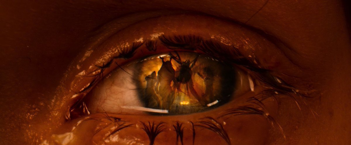 TheCinesthetic's tweet photo. furiosa (2024) dir. george miller https://t.co/ObBQnEAf1m