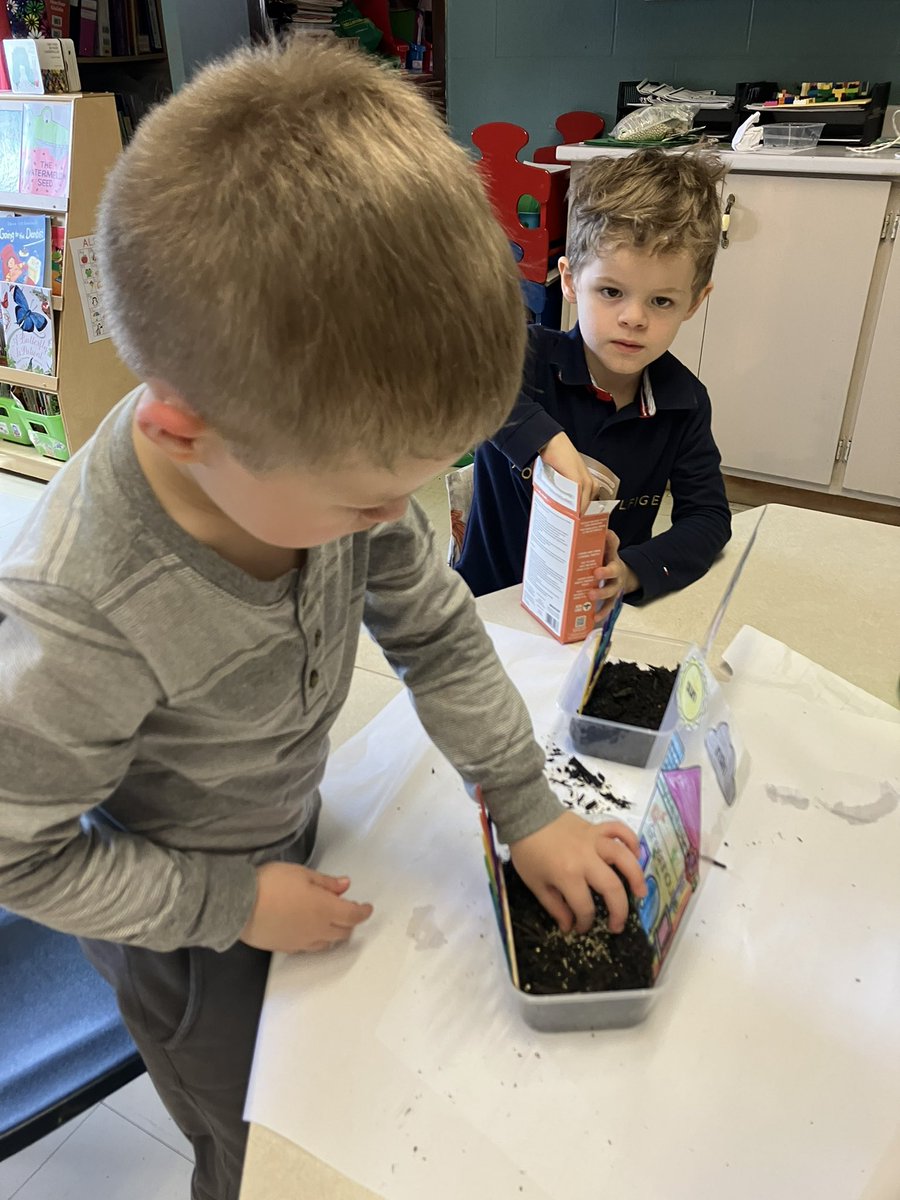 Dbroderick tweet media