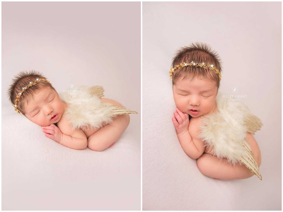 HaleyGrantPhoto's tweet photo. Frequently Asked Questions About Newborn Photography in Austin Texas https://t.co/LfSt3RNzY4 https://t.co/L3kKtN6ScJ