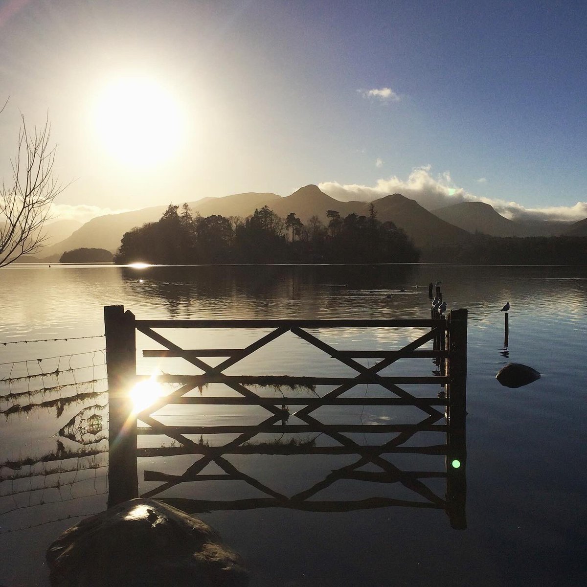 halekatie's tweet photo. Come workshop with me in Cumbria this weekend! ✍️ I’ll be at @tbtlake for Words by the Water - and will be running a poetry workshop all about wonder &amp; whimsey! 

Step aside from the hustle of everyday life, and indulge in curious daydreams! 🤔 

Tickets: https://t.co/owA8LOVbHz https://t.co/P8TzhMuVPT