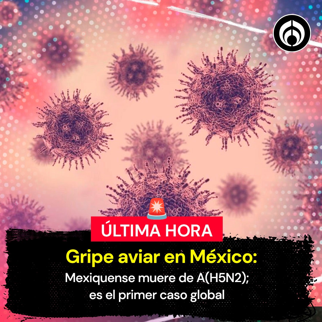 Radio_Formula's tweet photo. #ÚLTIMAHORA 🚨 La Organización Mundial de la Salud (OMS) confirmó la muerte del primer caso humano de infección por gripe aviar A(H5N2) detectado por un laboratorio en México.

🤧😷 De acuerdo con los primeros reportes, el caso corresponde a una persona residente del Estado de México. Este es primer caso humano confirmado en laboratorio de infección con un virus de gripe a (h5n2) reportado globalmente, dijo la OMS.

🔗: https://t.co/O1d1VwY6Ym

#RadioFórmulaMx #AbriendoLaConversación
