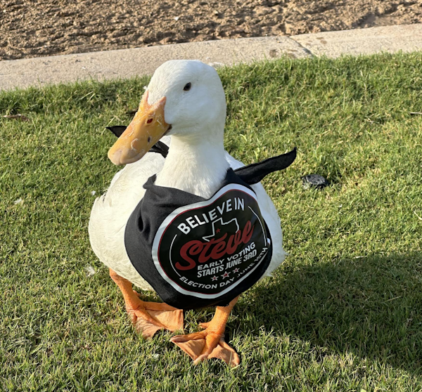 Steve Massengale🌵 tweet media