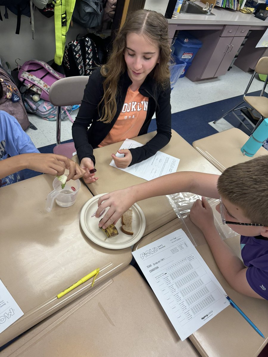 Ms. Parke 🤍 tweet media