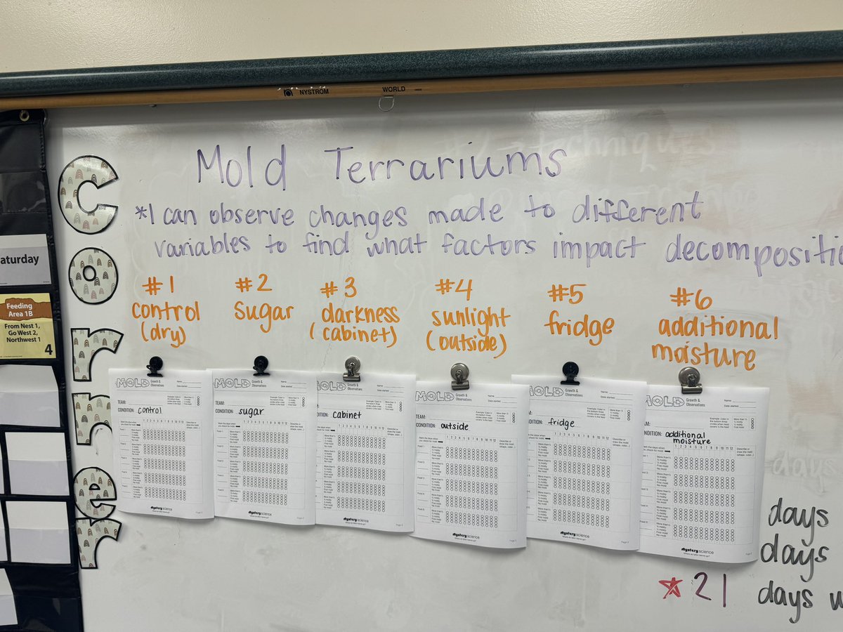 Ms. Parke π€ (@msparkelds) on Twitter photo Experiments galore in science π¬We have 6 different conditions for our mold terrariums to analyze which biome is impacted the most by their variable. Which will we see decompose the fastest?π <a href="/LDS_mshaines/">Ms. Haines</a> Experiments galore in science π¬We have 6 different conditions for our mold terrariums to analyze which biome is impacted the most by their variable. Which will we see decompose the fastest?π <a href="/LDS_mshaines/">Ms. Haines</a>