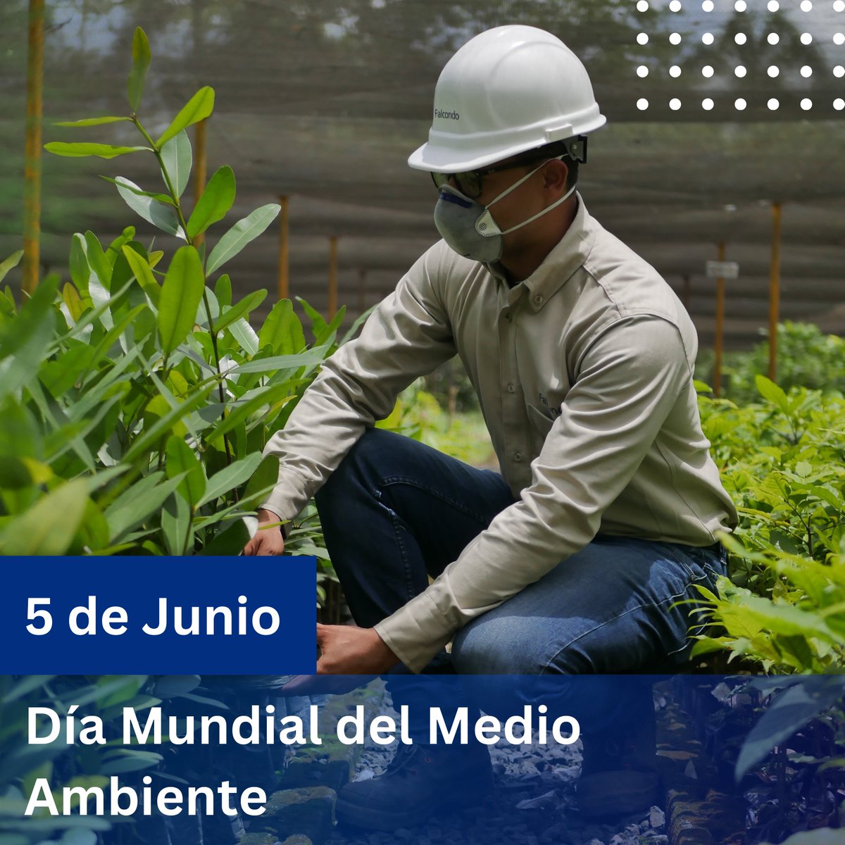 falcondord's tweet photo. 🌍 En el sector de la minería, hoy más que nunca es esencial comprometernos con prácticas sostenibles y responsables. 

La innovación y la gestión ambiental adecuada son clave para minimizar el impacto y preservar nuestros recursos naturales. 

🌱¡Feliz Día del Medioambiente! https://t.co/EXdt4y5vI3