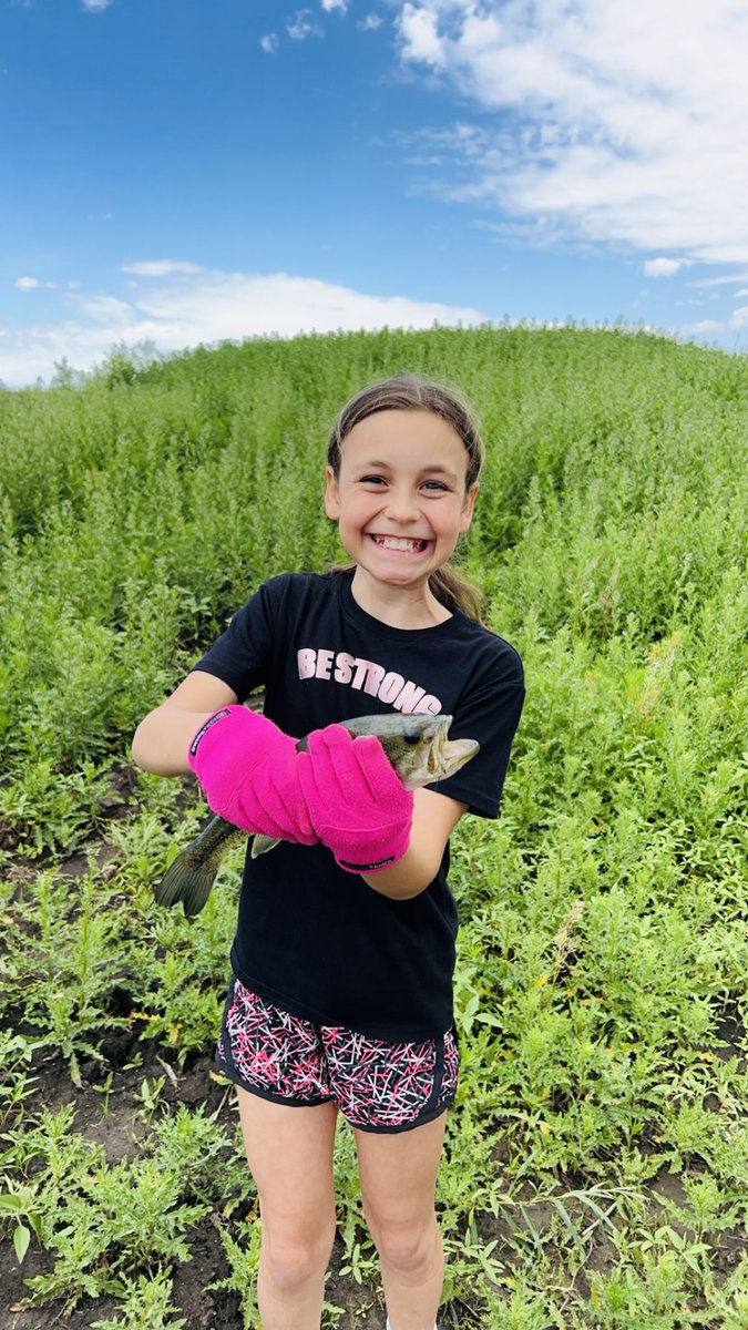 David Nour tweet media