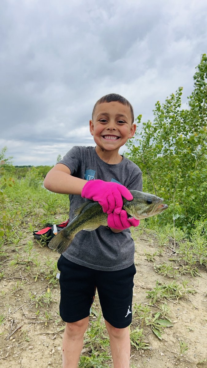 David Nour tweet media