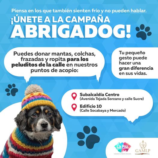 Subalcaldía Centro GAMLP tweet media