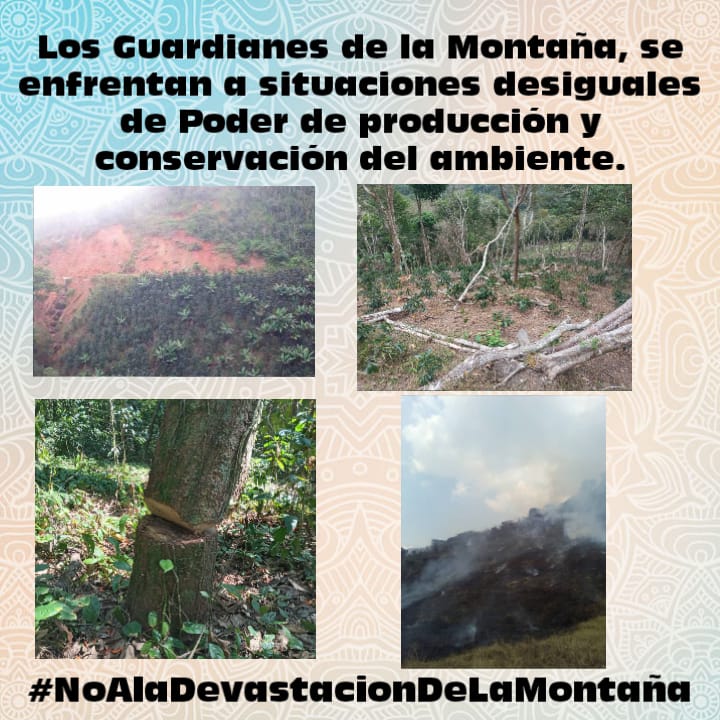libertadlibia's tweet photo. #05Jun En Busca de la Verdad están @guardmontAEB La Adm Pública insiste en Ocultar el listado de los indemnizados cuando fue decretado PN Yacambú, ahora son Invasores de oficio y venden ilegalmente parcelas dentro del Parque #CafeSinSombraEsEcocidio #NoALaDevastacionDeLaMontaña https://t.co/1dpC35ADyW